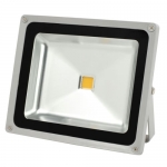 LED Flood Light 50W